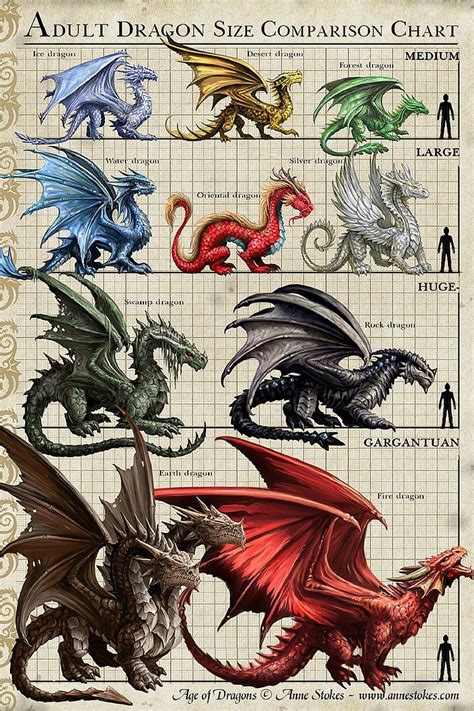 dragon city dragon comparison|Dragon Comparison .